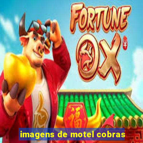 imagens de motel cobras